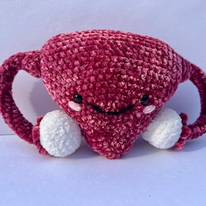 Crochet Uterus & Ovaries Plush