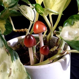 Miniature Mushroom Plant Stakes, Fairy Decor for Houseplants, Terrarium and Garden faux brown mushroom sculpture