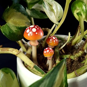 Miniature Toadstool Mushroom Plant Stakes, Fly Agaric Fairy Decor for Houseplants, Terrarium and Garden Accessory