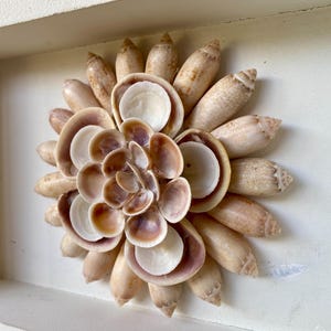 May include: A decorative wall art piece featuring a flower design made from various seashells. The shells are arranged in a circular pattern, with a mix of light brown, cream, and white hues. The artwork is set within a white, rectangular frame.