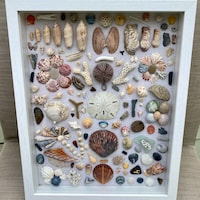 Seashell Mosaic Art Shadowbox - 5x7 Seas the Day #188 - Etsy