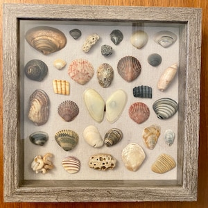 Shadow Box Shell Art