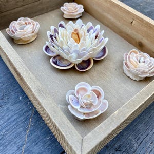 May include: A wooden tray holds several seashell flowers in shades of white, beige, and purple. The flowers are arranged on a light brown surface, with a larger flower in the center and smaller ones around it. The tray has a light brown frame.