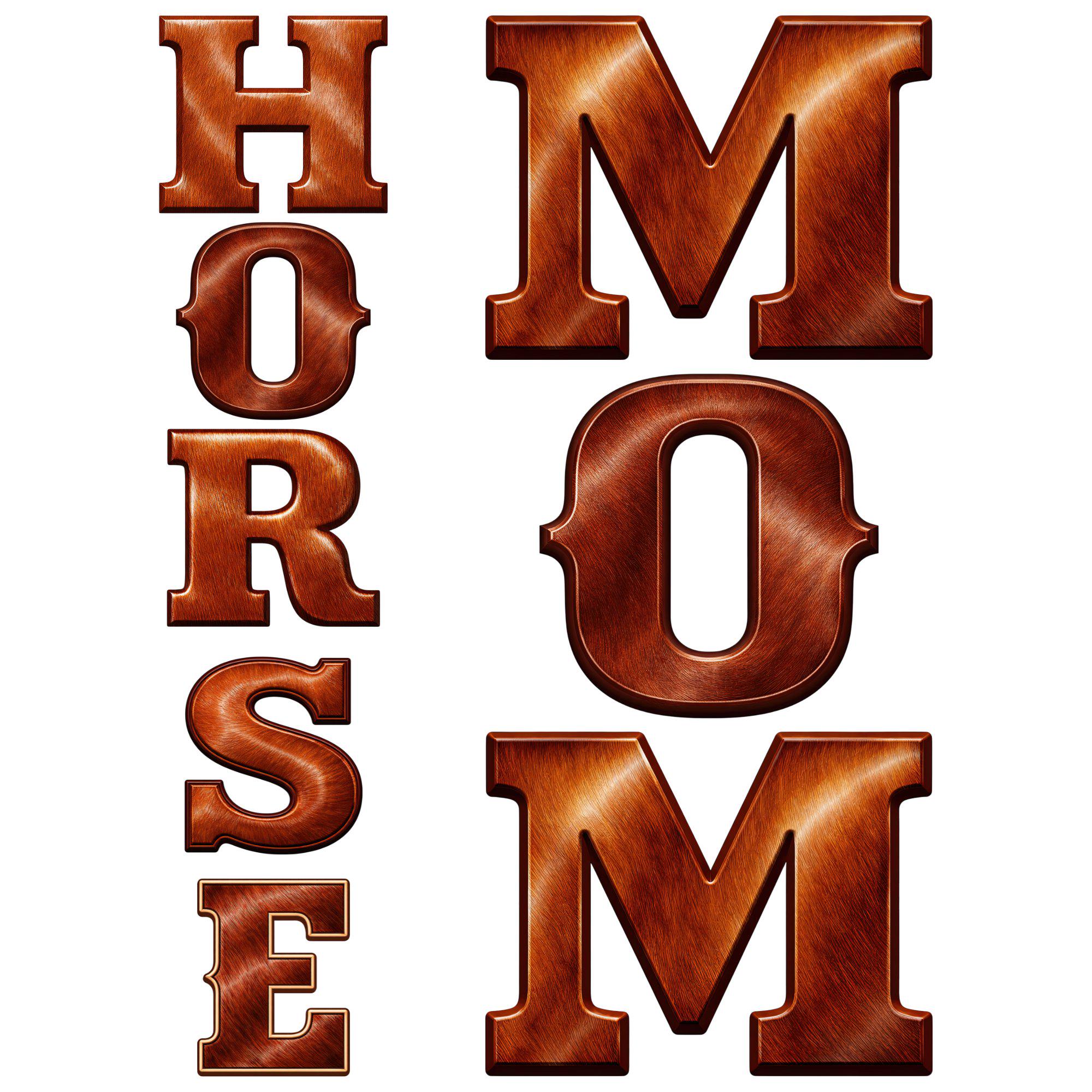 Eastern Rodeo Type Face Chestnut Coat Western Alphabet PNG Set | Cowboy Leather Letter Clipart ...
