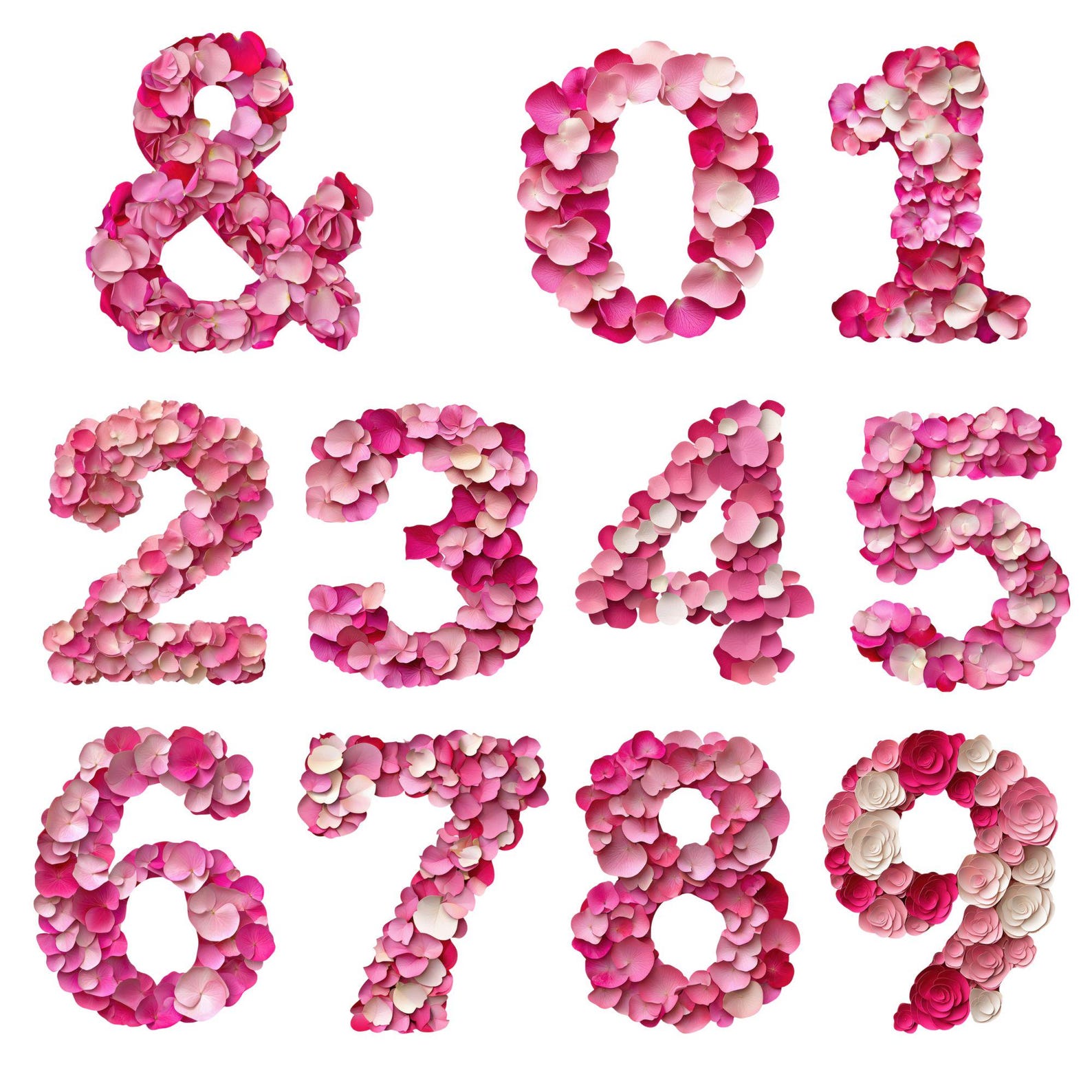 Rose Petal Alphabet PNG Bundle: Floral Letters & Numbers Clipart ...