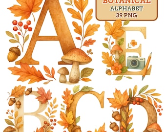 Autumn Watercolor Alphabet Clipart: Fall Botanical Letters, Numbers (PNG Digital Download)