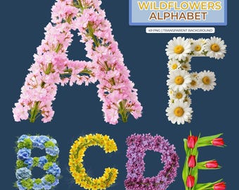 Alfabeto floral de flores silvestres de primavera PNG / 49 PNG transparente / 3500px de altura / Uso comercial