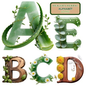 May include: A collection of decorative alphabet letters, each uniquely designed with natural elements. The letter "A" is green with aloe vera, "B" is wooden with basil, "C" is green with daisies, "D" is wooden with dandelions, and "E" is green with eucalyptus. The image includes the text "Healer's Herbal Alphabet 40 PNG".