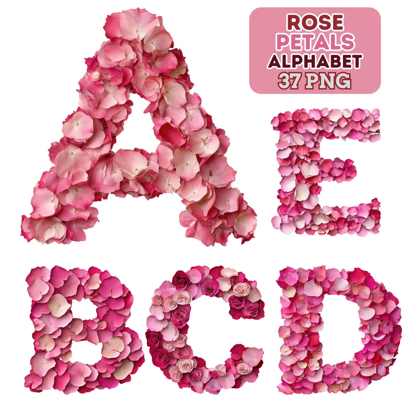 Rose Petal Alphabet PNG Bundle: Floral Letters & Numbers Clipart ...