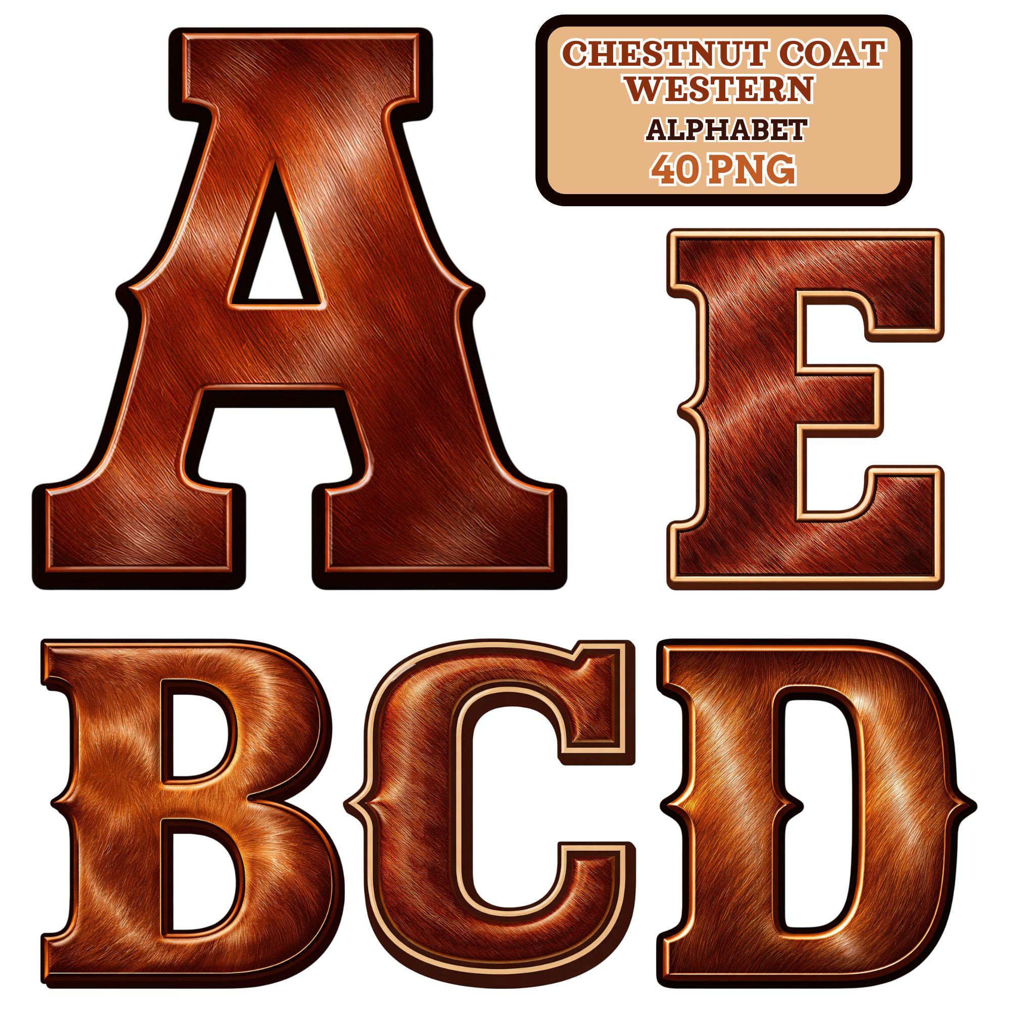 Eastern Rodeo Type Face Chestnut Coat Western Alphabet PNG Set | Cowboy Leather Letter Clipart ...