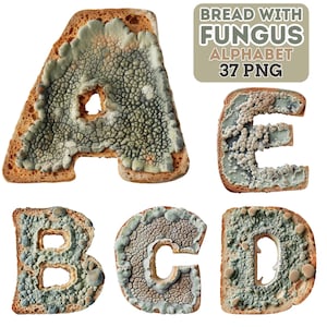 May include: An alphabet set made of bread slices covered in green and gray fungus. The letters A, B, C, D, and E are visible. A text box in the upper right corner reads "BREAD WITH FUNGUS ALPHABET 37 PNG".