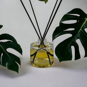 Op de afbeelding: Een heldere glazen diffuserfles met zwarte rietjes en een gele vloeistof. De fles heeft een zwart etiket met de tekst "Air Molfer Herbs". De fles is omringd door groene monstera bladeren.
