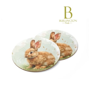 Easter Bunny Coaster Set Spring Kitchen Decor Plastic PVC Waterproof Coaster Easter Kitchen Easter Gift Idea Easter Bunny Coaster Set