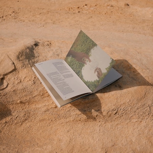 May include: An open book with a green and brown image on the right page and text on the left page. The book is lying on a sandy surface.
