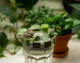 Cutlingqua: Elegant holder for plant cuttings, fits IKEA Pokal glass – Perfect for propagating plants