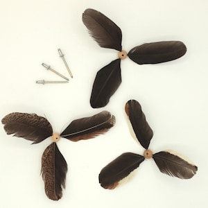 Könnte beinhalten: Drei braune und weiße Federwindräder mit Holzmitten. Jedes Windrad hat drei Federn, die an der Mitte befestigt sind.