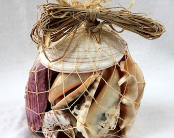 Shell bag 500 g shells in a net for decoration party beach shell