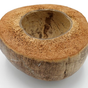 Op de afbeelding: Een bruine kokosnootschil met de binnenkant uitgehold om een kom te creëren. De schil heeft een ruwe textuur en is licht gebarsten.