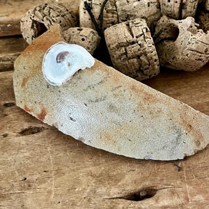 Beach-Found Vintage Pottery Crock Piece with a Tiny Oyster Shell attached - Sea Pottery - Section of Vintage Crock -