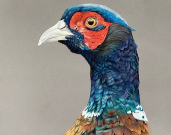 Giclée de faisan avec plumage complet, édition limitée, art animalier signé