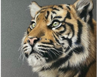 Impression giclée d'art animalier signée Tigers Eye en édition limitée