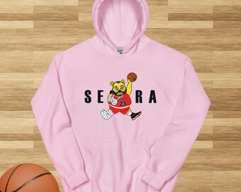 AIR SEGURA Hoodie Tom Segura Hoodie Your Moms House Hoodie YMH Hoodie 2 bears 1 cave hoodie Bert Kreischer Hoodie 2b1c hoodie ymh merch 2b1c