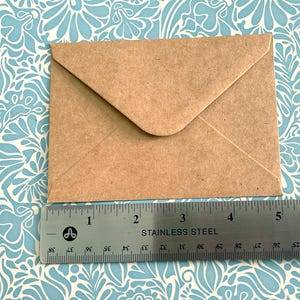 May include: A brown paper envelope with a white flap. The envelope is 4 inches wide and 6 inches long.