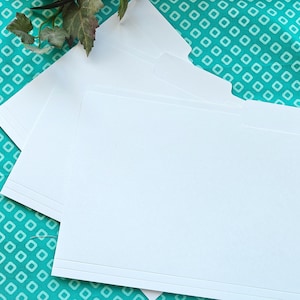 May include: A stack of white file folders with a tab on the top right corner. The folders are plain and have horizontal lines near the bottom. A sprig of greenery is in the upper left corner.