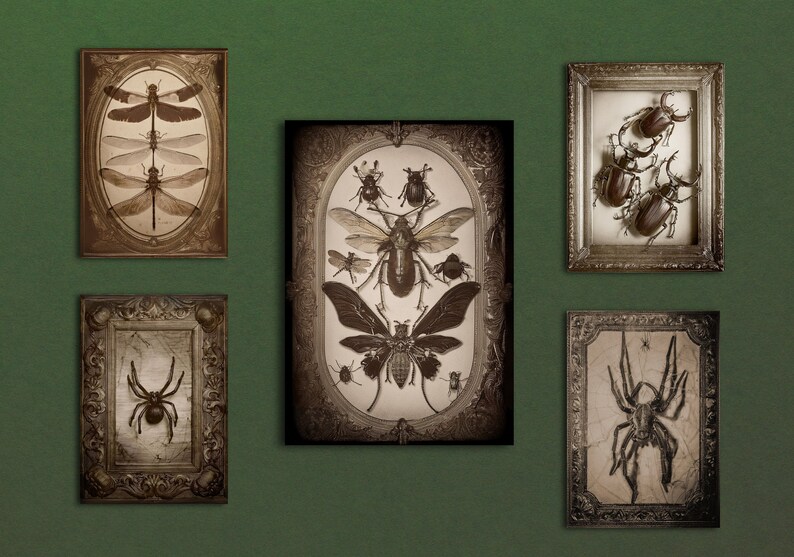 Gothic Insects Creepy Insects With Gothic Frames Series; Vintage Gallery Wall Art Set ...