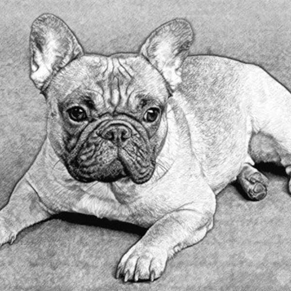 FRENCH BULLDOG Dog 8x10 Art Print Signed Laroux