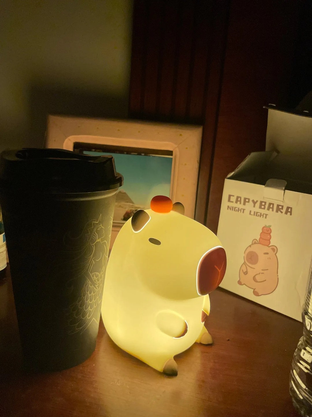 Capybara Silicone Night Light Bedside Lamp Sleepaid Gift USB