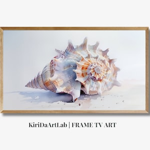 May include: A large, intricately patterned seashell with a light pink, orange, and white color scheme. The shell is resting on a white sandy beach with a light blue sky in the background.
