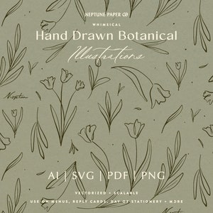Ilustraciones botánicas de estilo vintage dibujadas a mano