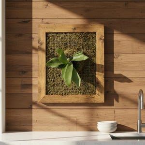 Elkhorn fern plant frame-Unique wall mount-Wall décor-Easy water system-Botanical wall art-Live picture frame mount-Plant lover gifts