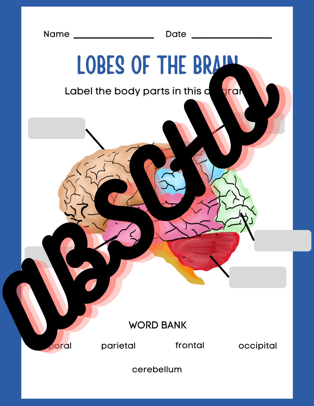 The Brain Labeling Diagram for Kids Parts of the Brain Etsy