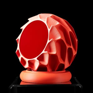 Vaso cellulare organico con sottovaso, vaso moderno stampato in 3D, decorazione scultorea per la casa, vaso da interni unico per piante grasse e piccole piante.