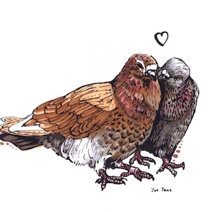 Preoccupied Pigeons (Print)