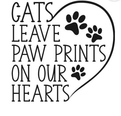 Cat Lover | Cat Owner | Cat Parent