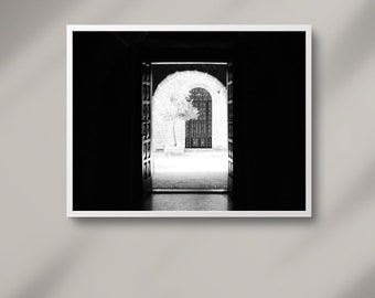 Impresión de pared de bellas artes - Edición limitada - 'Ances-Tree', fotografía en blanco y negro, impresión de cuarto oscuro