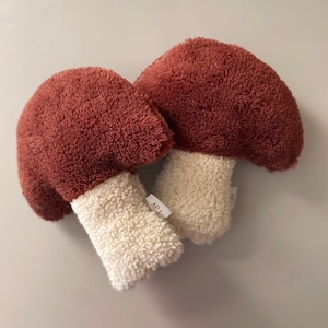 Mushroom Pillow