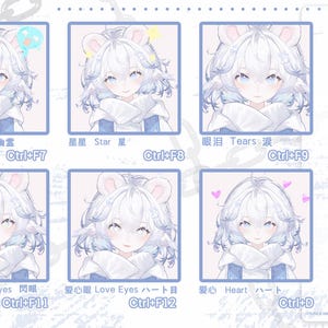 May include: A digital art graphic featuring a character with white hair and bear ears, showcasing various facial expressions. The image includes text labels in English and Japanese, such as "Ghost," "Star," and "Tears."