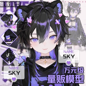 May include: A digital illustration of an anime-style character with black hair and purple highlights, cat ears, and purple eyes. The character wears a black choker with a cross pendant and a black hoodie. The name "SKY" is displayed on a white label.