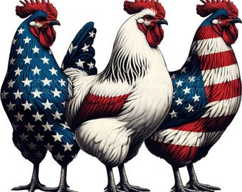Gallo del 4 luglio in formato PNG, Acquerello del 4 luglio in formato PNG, Polli del 4 luglio in formato PNG, Pollo patriottico in formato PNG, Bandiera americana in formato PNG, Download digitale