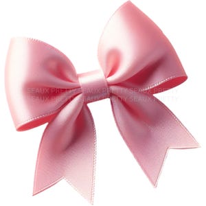 Ribbon Coquette Bow PNG, Watercolor Bow PNG, Bow Png, Coquette Bow png, Pink Bow Png, Western Bow, Vintage Bow Design, Digital Download