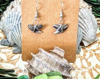 Petite tiger shark earrings