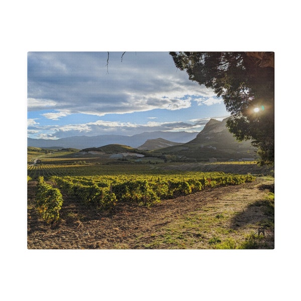 Patrimonio Wine Vineyards Approaching Sunset Original Photo Artwork Corsica France Matte Canvas, Stretched, 0.75"