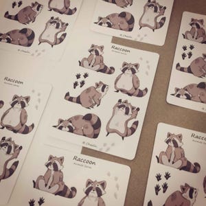Stickers Racoon