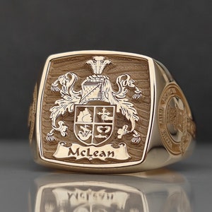 Ring wapenschild, 14K gouden ring voor familie, zegelring familiewapen, aangepaste zegelring, zegelring familiewapen, zegelring familiewapen, kerstcadeau