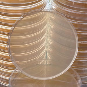 Pre-Poured Malt Agar Plates