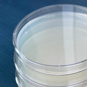 Pre-Poured Water Agar Plates